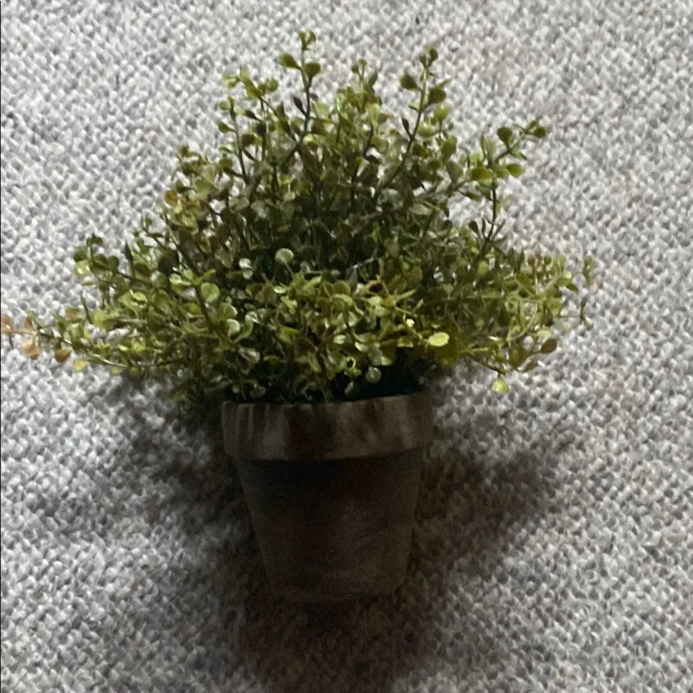 Artificial Eucalyptus Greenery Plant in Gray Pot